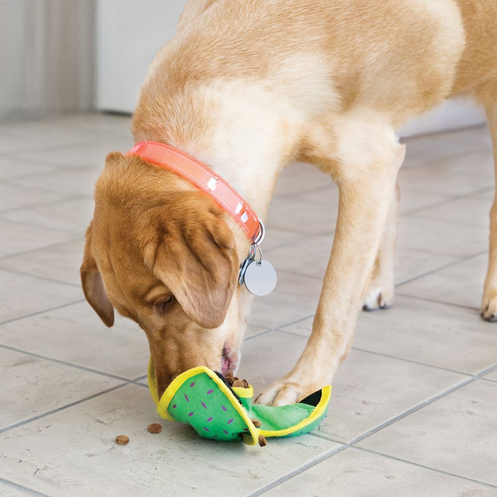 Kong Ballistic Hide & Treat - Country Ways