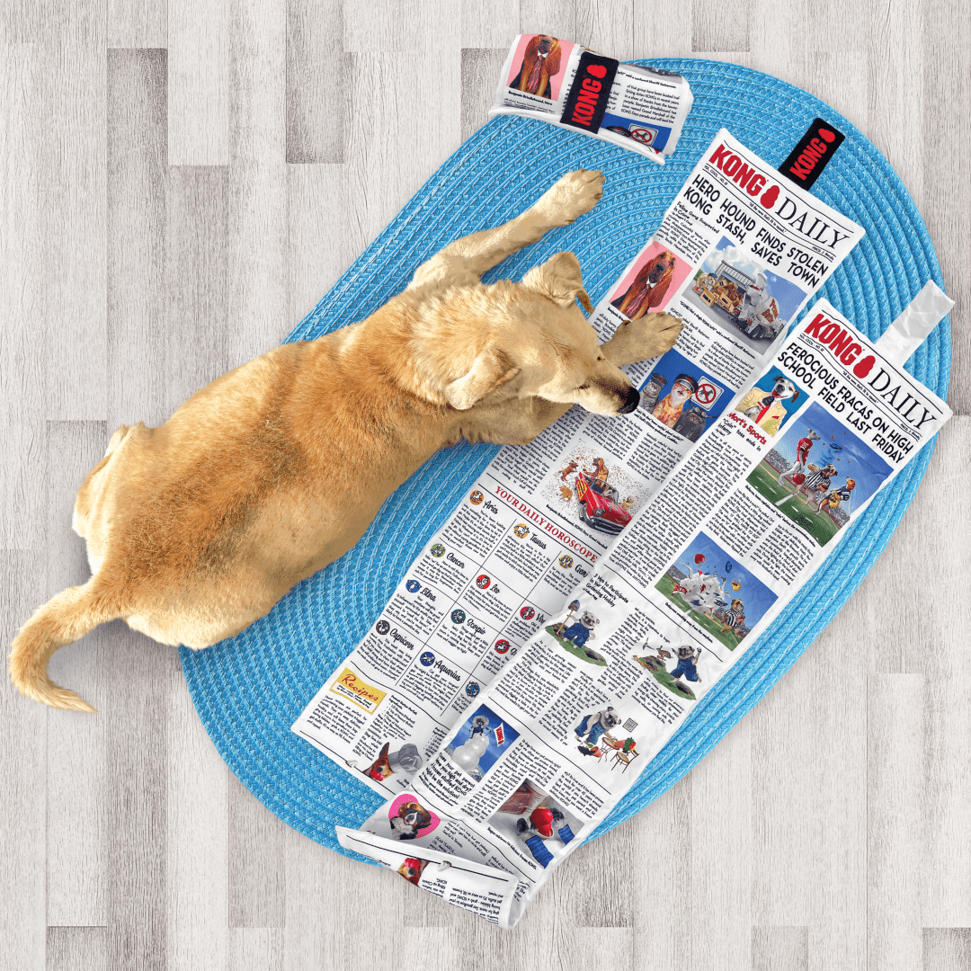 KONG Daily Newspaper - Country Ways