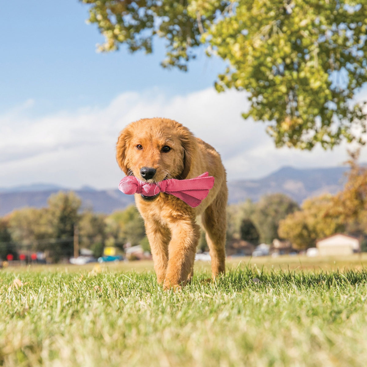 KONG Wubba Puppy - Country Ways