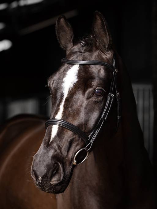 LeMieux Arika Cavesson Bridle - Country Ways