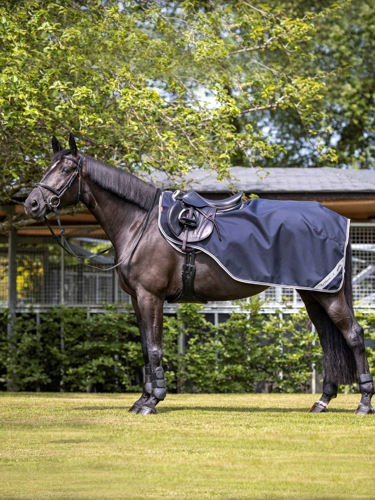 LeMieux Arika Exercise Sheet - Country Ways