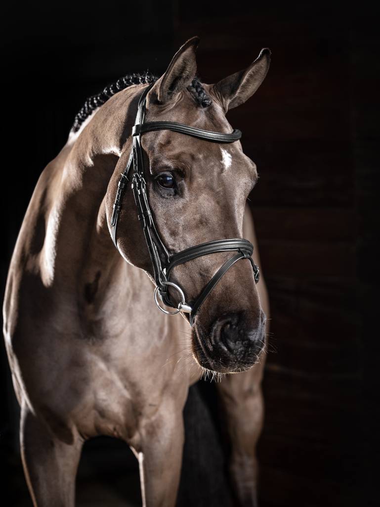 LeMieux Arika Flash Bridle - Country Ways