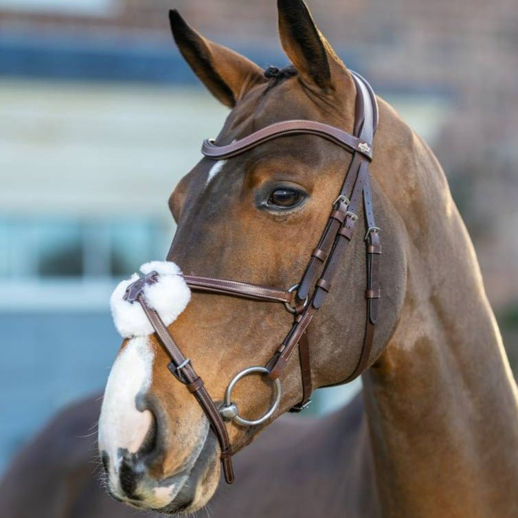 LeMieux Arika Grackle Bridle - Country Ways