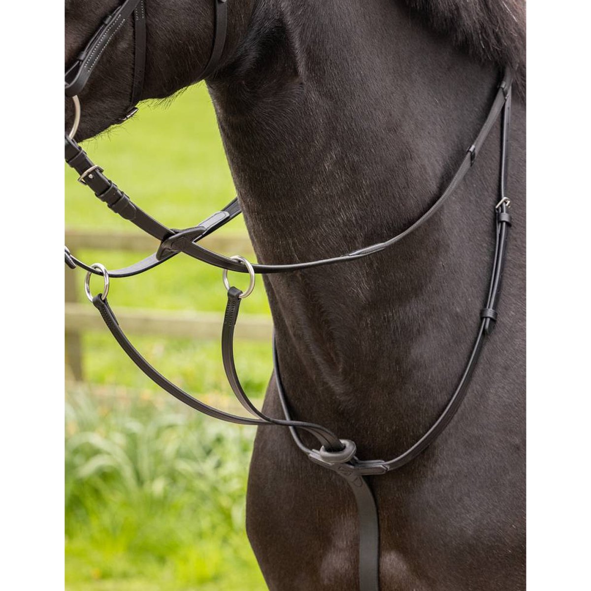 LeMieux Arika Running Martingale - Country Ways