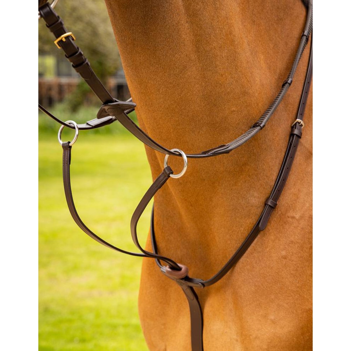LeMieux Arika Running Martingale - Country Ways