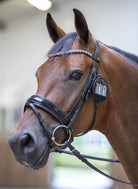 LeMieux Bridle Number Holder - Country Ways