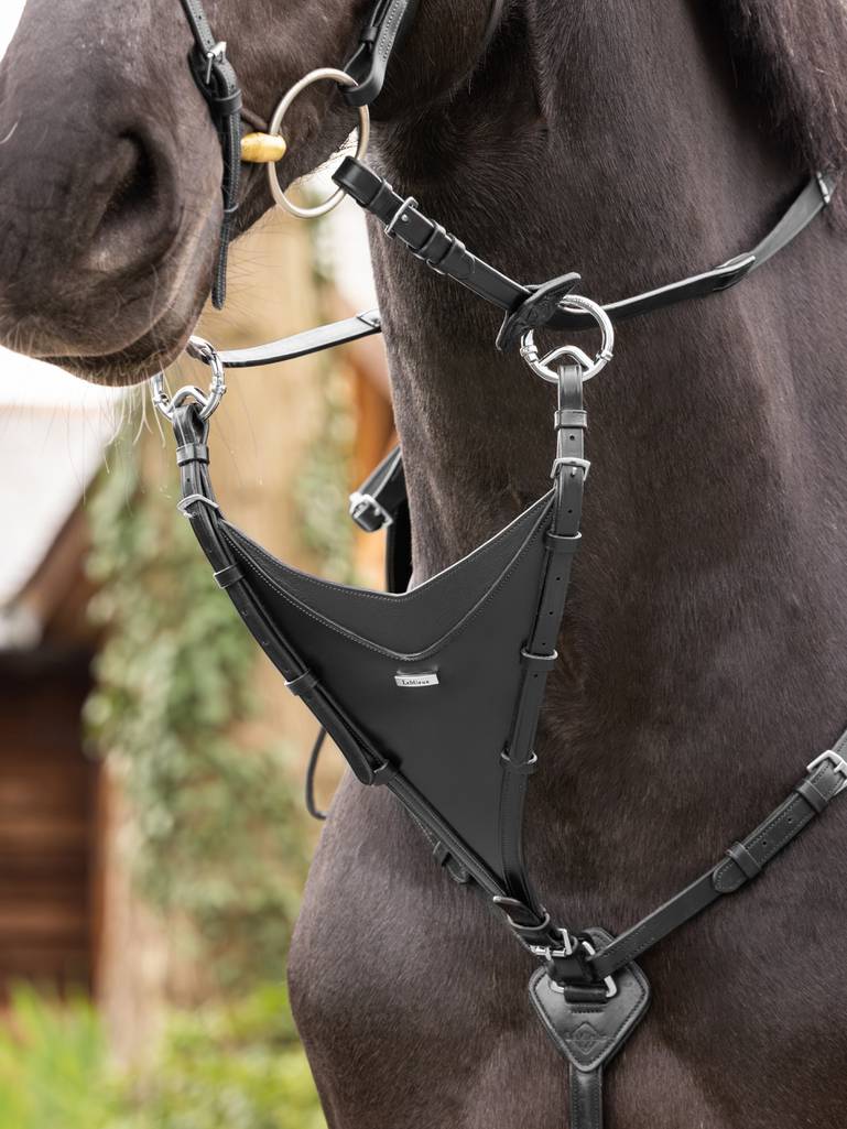 LeMieux Kudos Bib Martingale Attachment - Country Ways