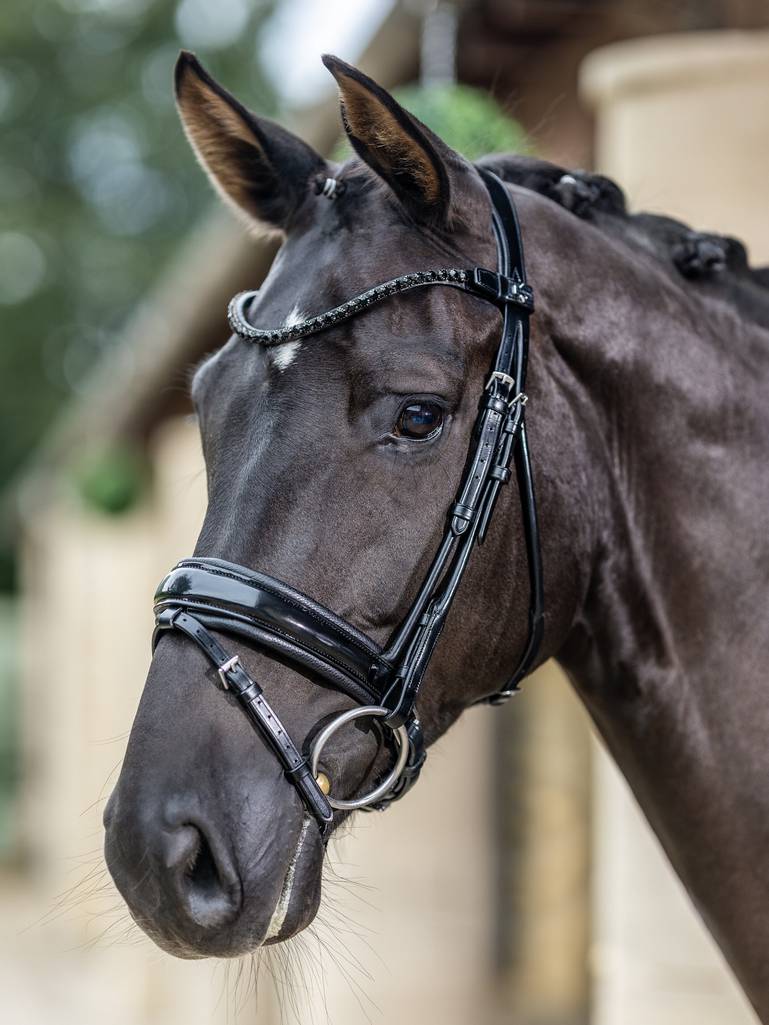 LeMieux Kudos Patent Dressage Bridle - Country Ways