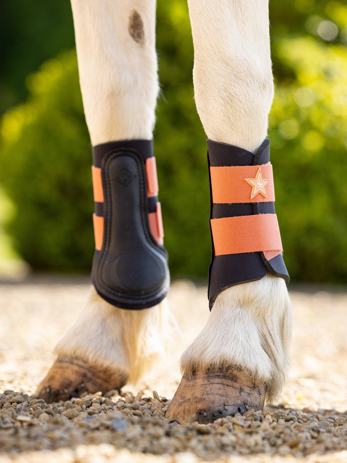 LeMieux Mini Grafter Brushing Boots SS24 - Country Ways