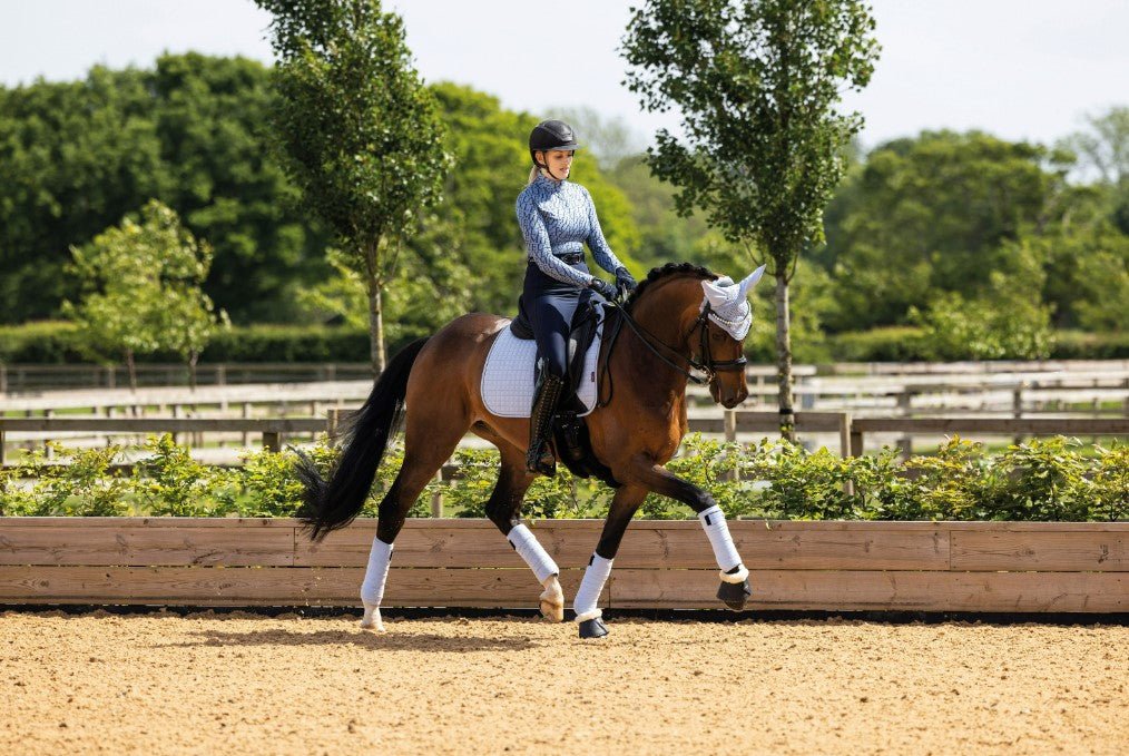 LeMieux Suede Dressage Square SS23 - Country Ways
