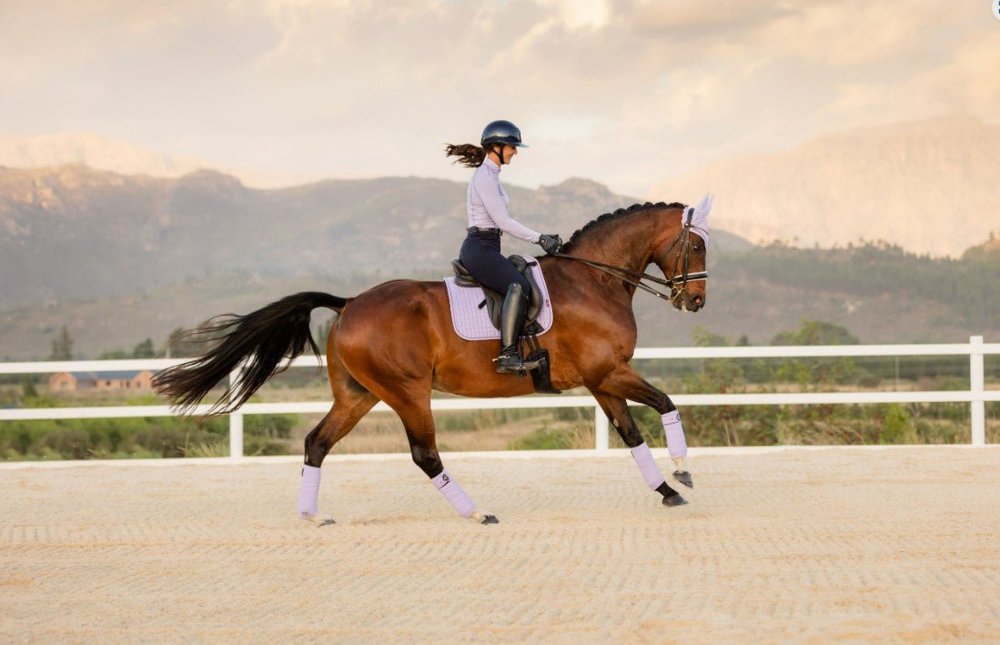 LeMieux Suede Dressage Square SS23 - Country Ways