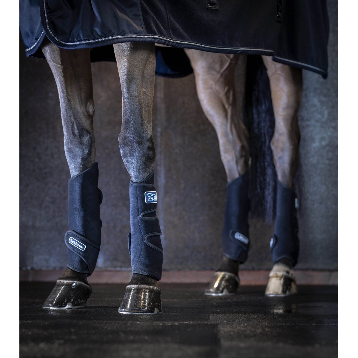 LeMieux Tendon Chill Boots (Pair) - Country Ways