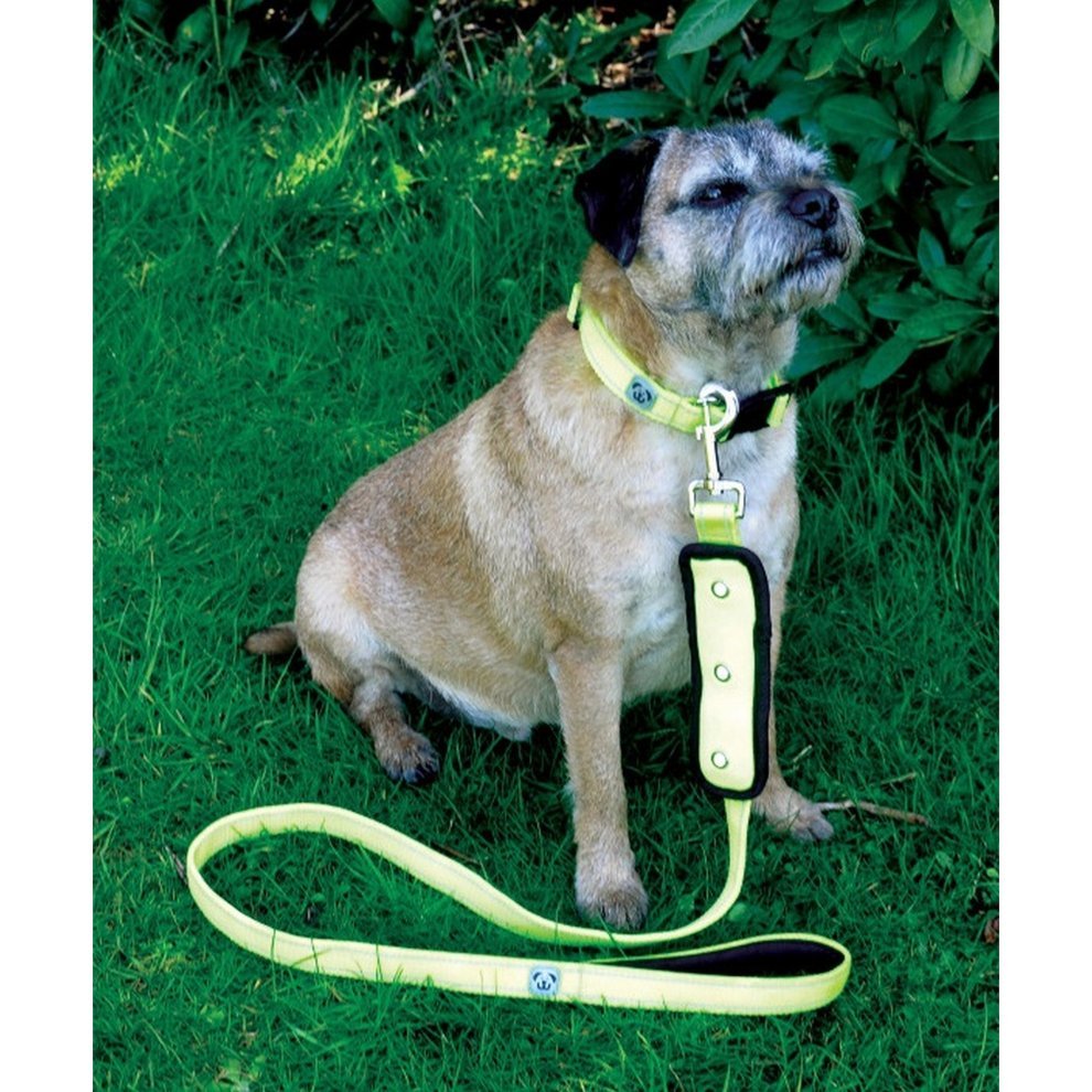 Masta Flash Lead Yellow Medium/Large - Country Ways
