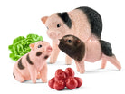 Miniature pig mother and piglets - Country Ways