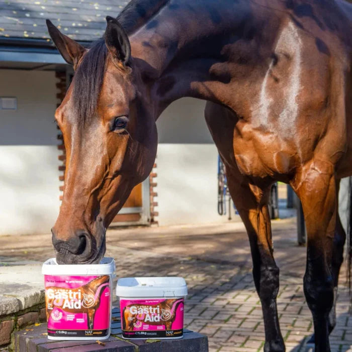 NAF Five Star GastriAid