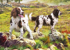 Otter House 1000 Piece Puzzles - Country Ways