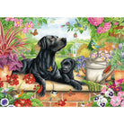Otter House 1000 Piece Puzzles - Country Ways