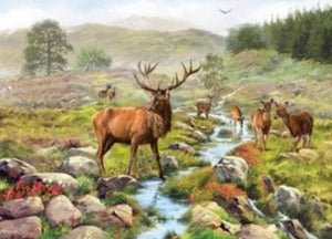 Otter House 1000 Piece Puzzles - Country Ways