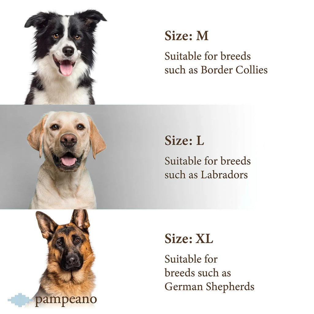 Pampeano Leather Dog Collar Hermoso - Country Ways