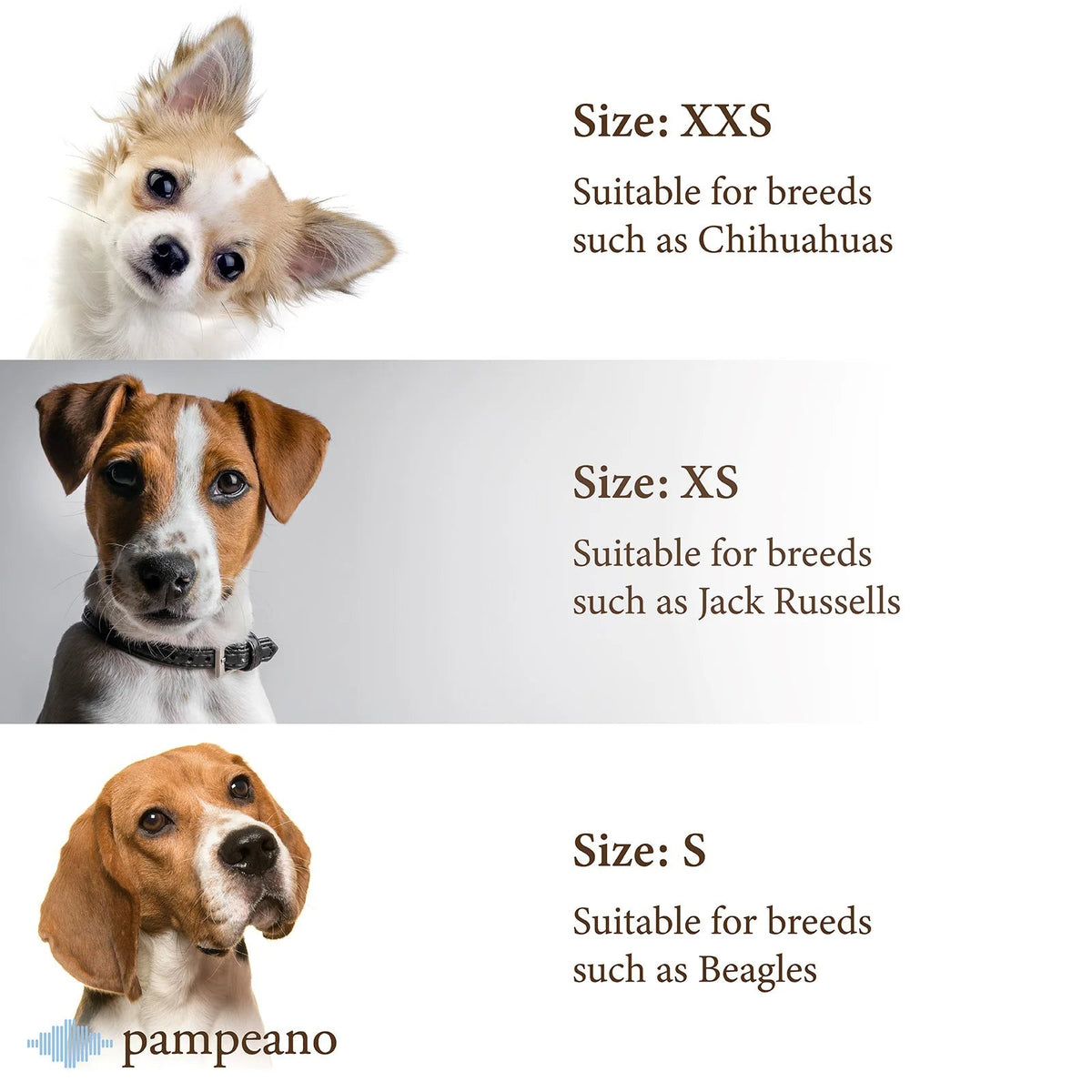 Pampeano Leather Dog Collar Hermoso - Country Ways