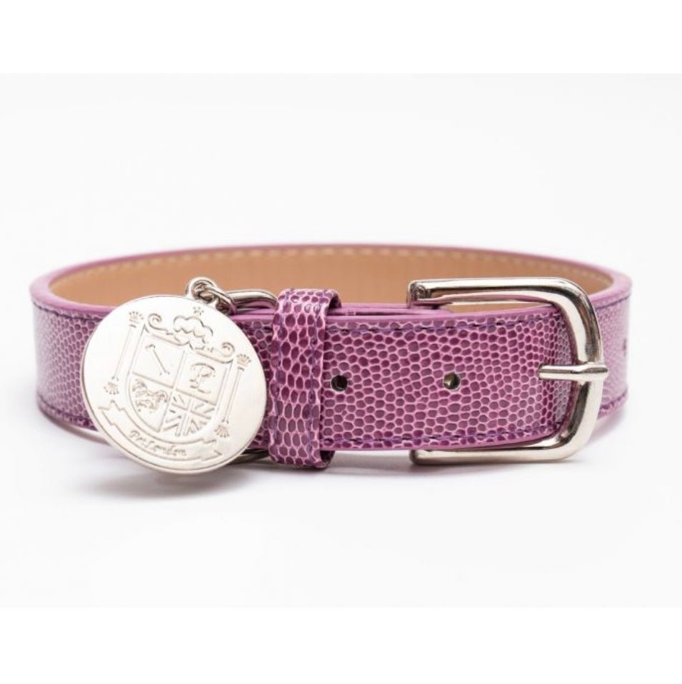 Pet London Langham Collar - Country Ways