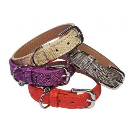 Pet London Langham Collar - Country Ways