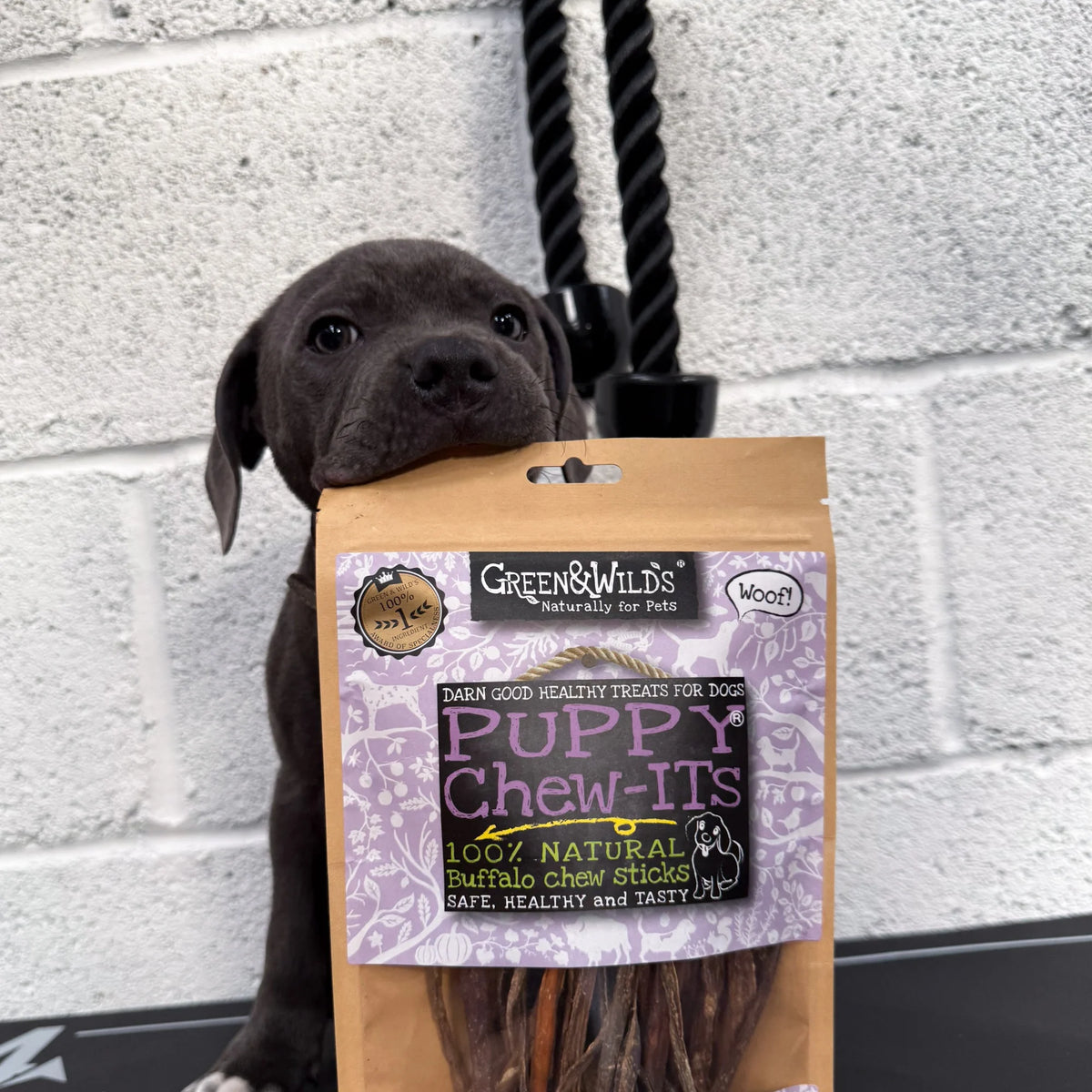 Green & Wild's Puppy Chew-Its