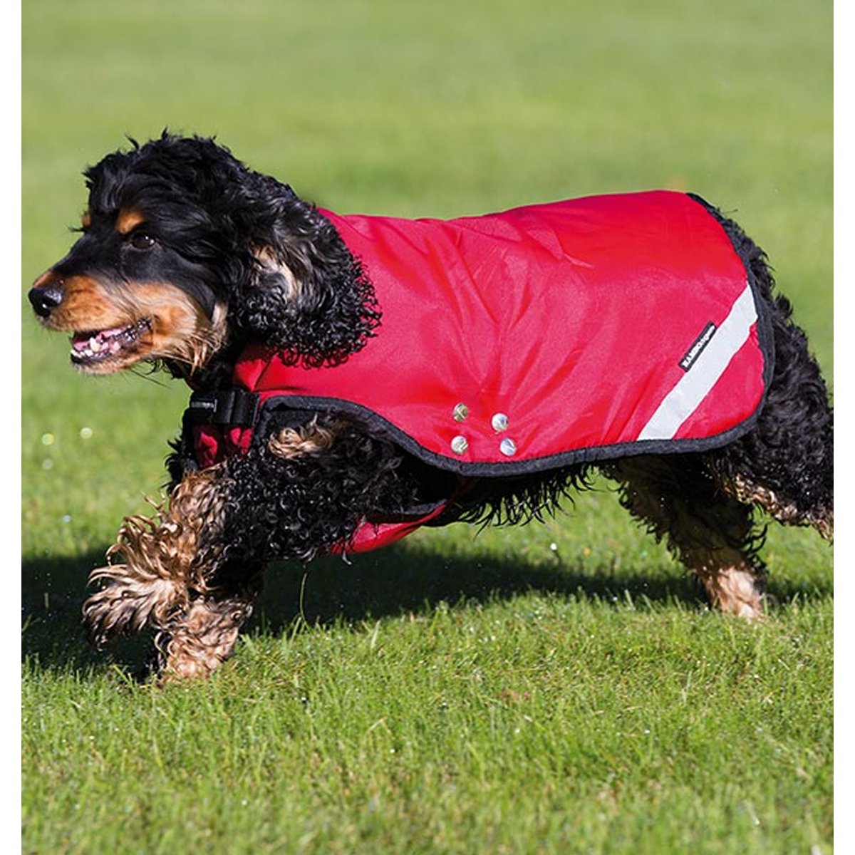Rambo Duo Dog Rug Red - Country Ways