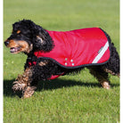 Rambo Duo Dog Rug Red - Country Ways