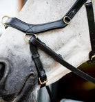 Rambo Micklem Multi Bridle - Country Ways