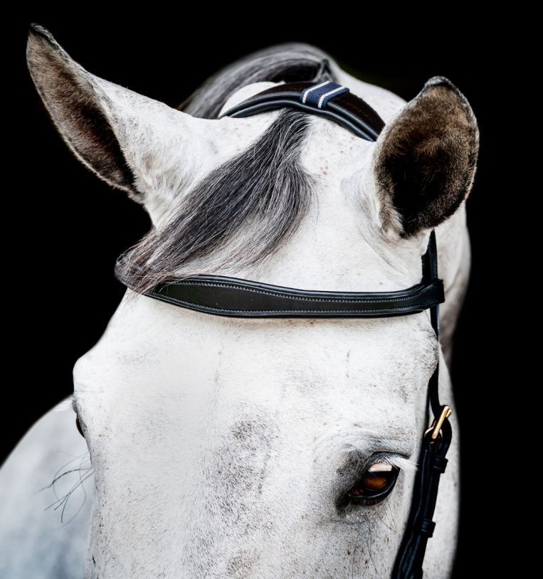 Rambo Micklem Multi Bridle - Country Ways