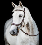 Rambo Micklem Multi Bridle - Country Ways