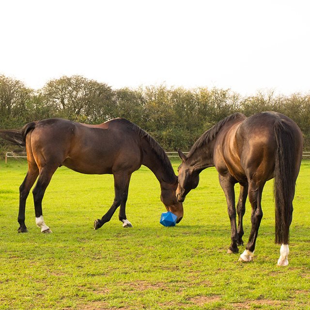 Red Gorilla Dripfeed Treat Ball - Country Ways