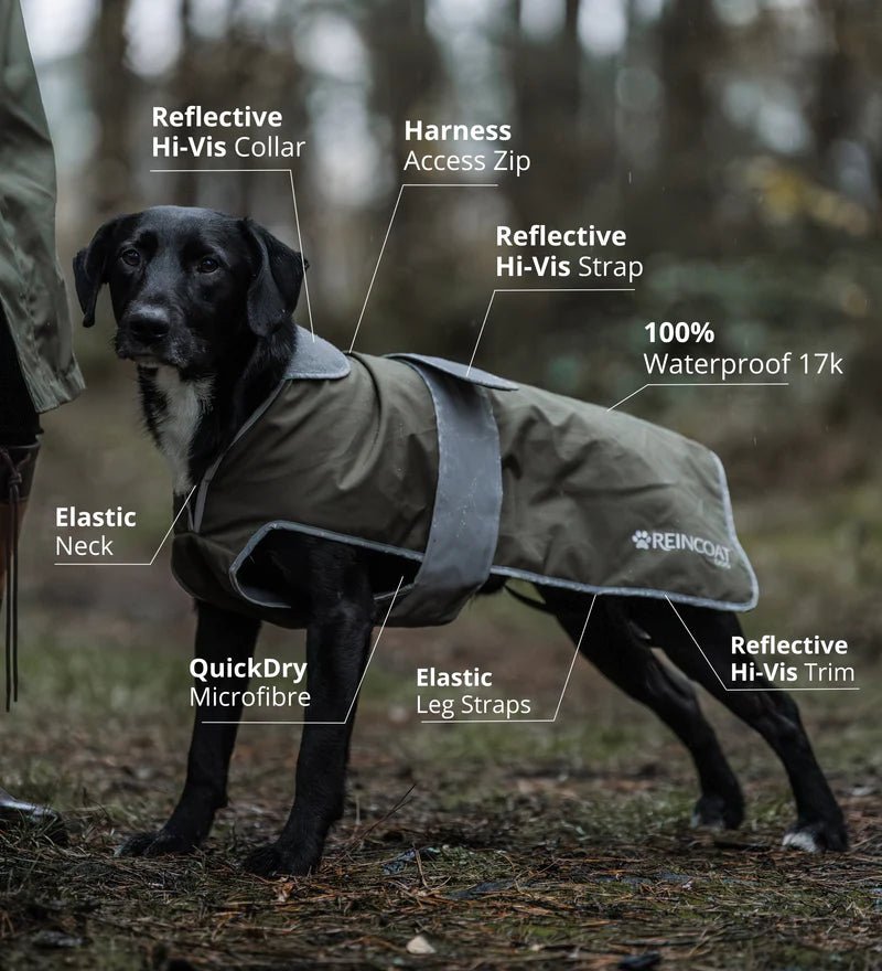 Reincoat Dog - Country Ways