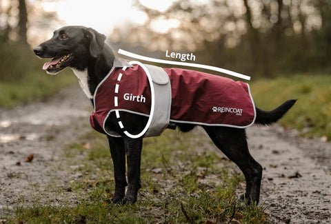Reincoat Dog Coat - Country Ways