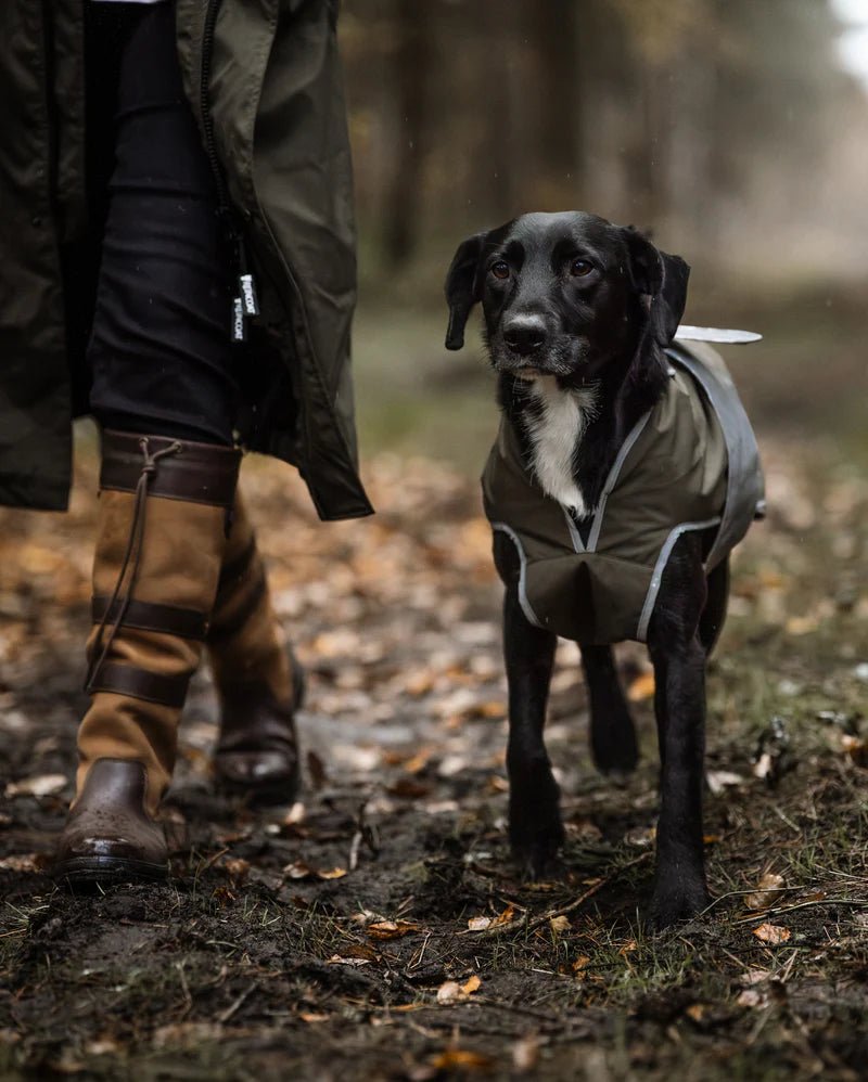 Reincoat Dog Coat - Country Ways