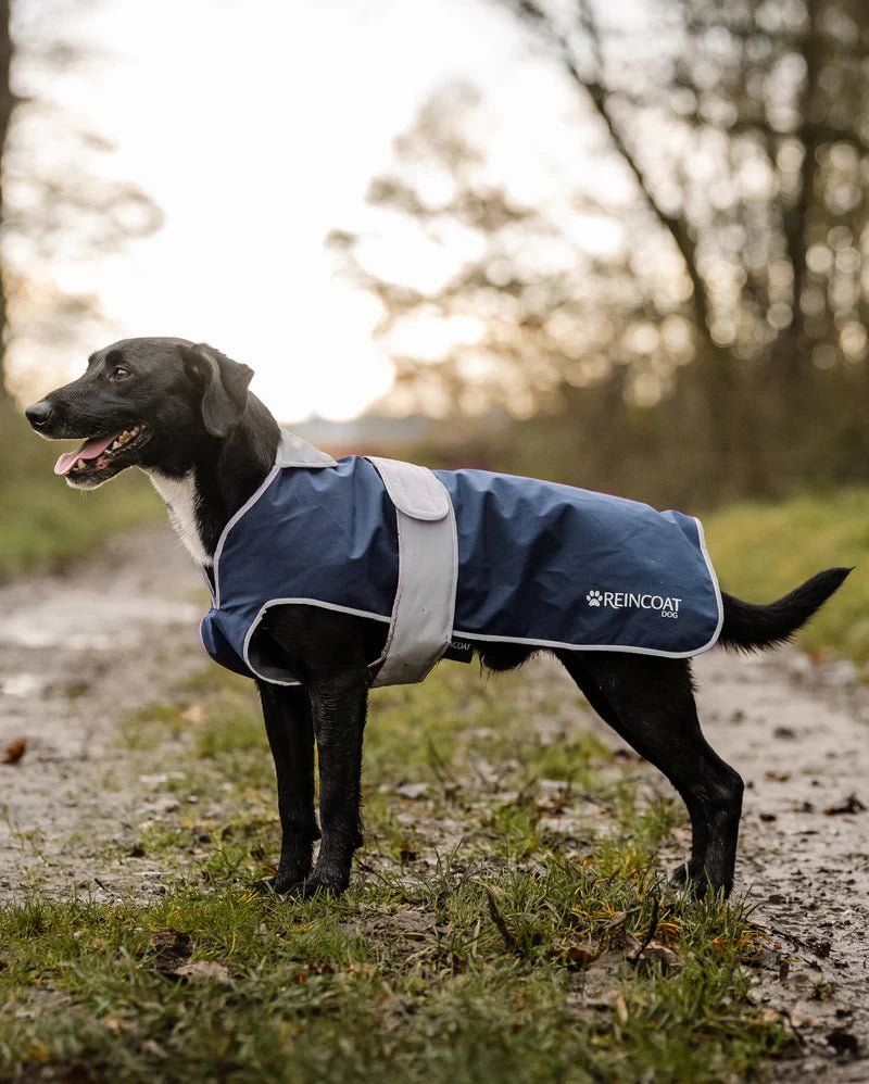 Reincoat Dog Coat - Country Ways