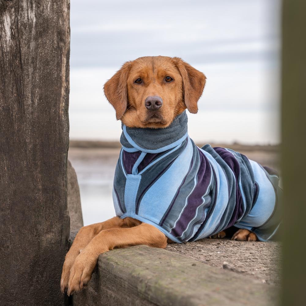 Cotton Towelling Ruff And Tumble Dog Drying Coats Sale Ruff Tumble