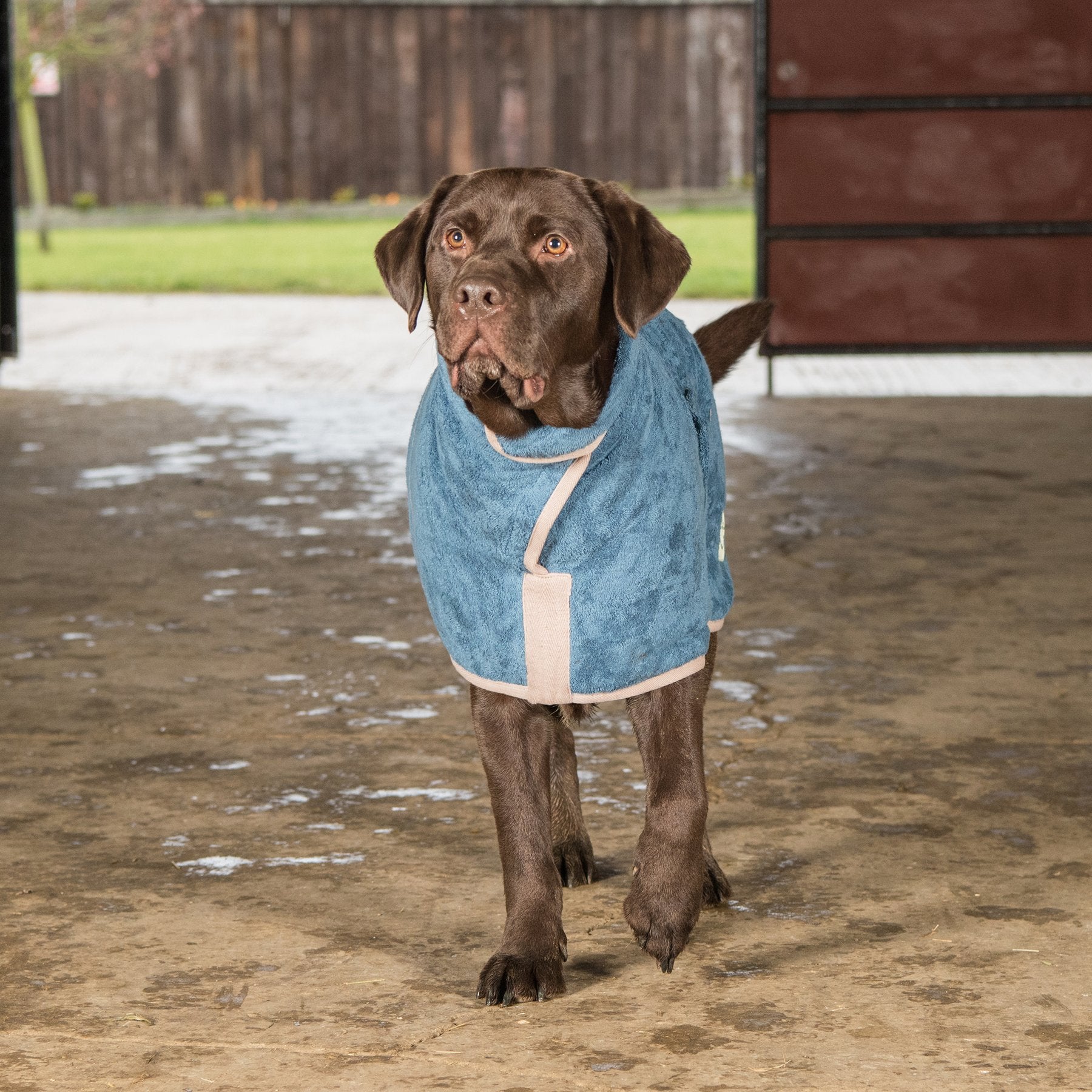 Ruff And Tumble Dog Drying Coat Country Ways - Main Image