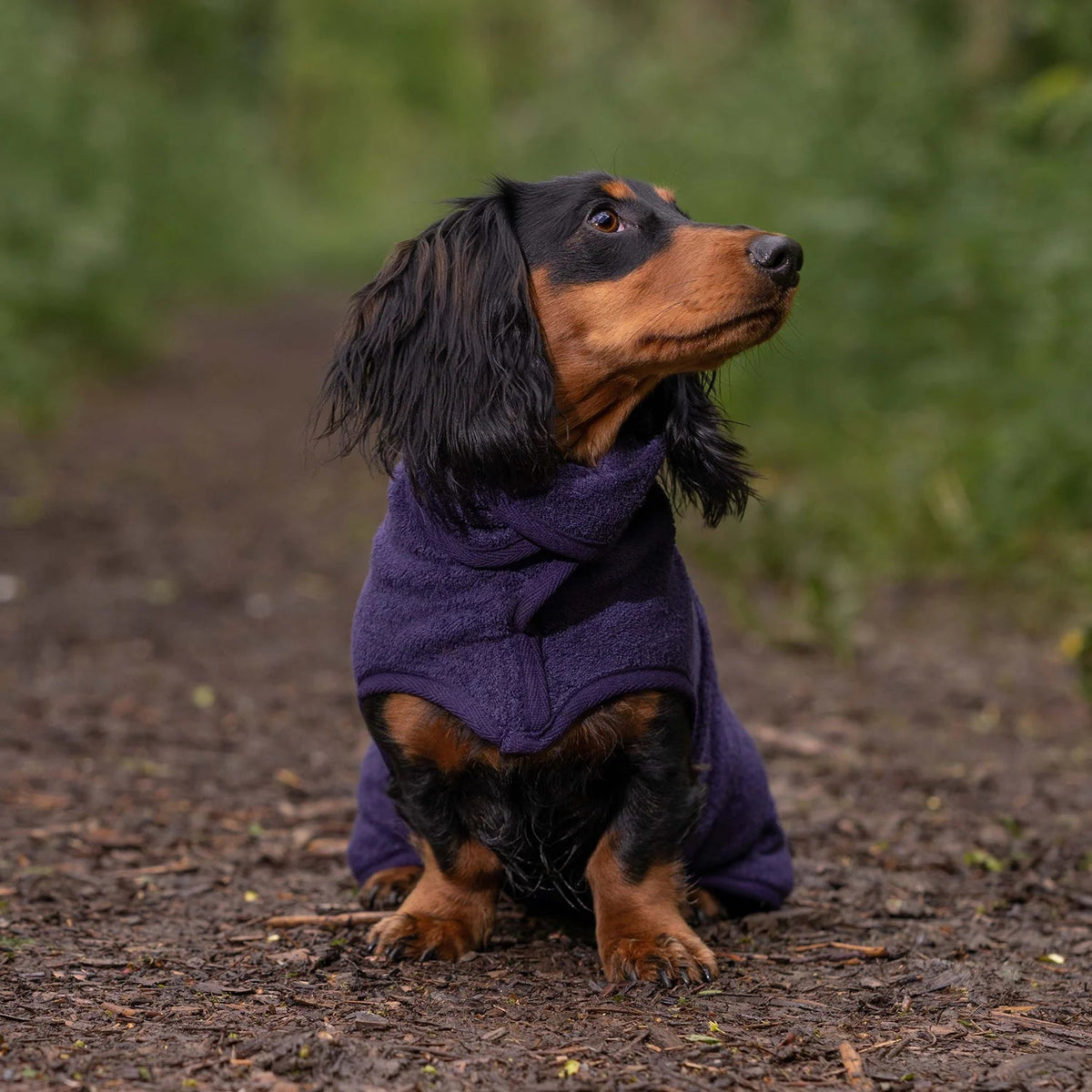 Ruff & Tumble Classic Dog Drying Coat - Country Ways