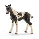 Schleich Pinto Foal - Country Ways