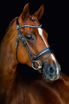 Schockemohle Malibu Bridle Espresso/Silver - Country Ways