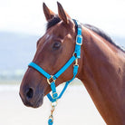 S/H Topaz Nylon Headcollar Green Cob - Country Ways