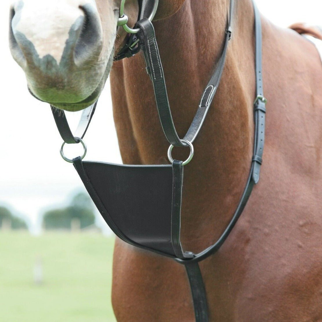 Shires Blenheim Bib Martingale - Country Ways