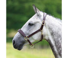 Shires Velociti GARA Leather Travel Headcollar - Country Ways