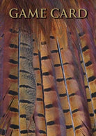 Shoot Game Cards - Pheasant Tail Feathers by Charles Sainsbury - Plaice - Country Ways