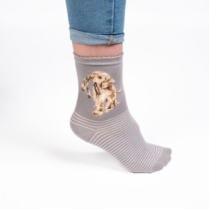 Wrendale 'Hopeful' Women's Super Soft Bamboo Socks