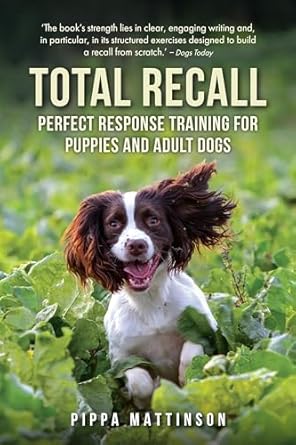 Total Recall by Pippa Mattinson - Country Ways
