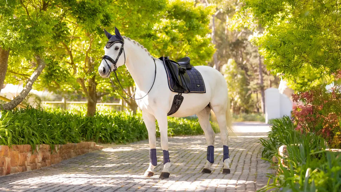 LeMieux Loire Classic Dressage Square SS25