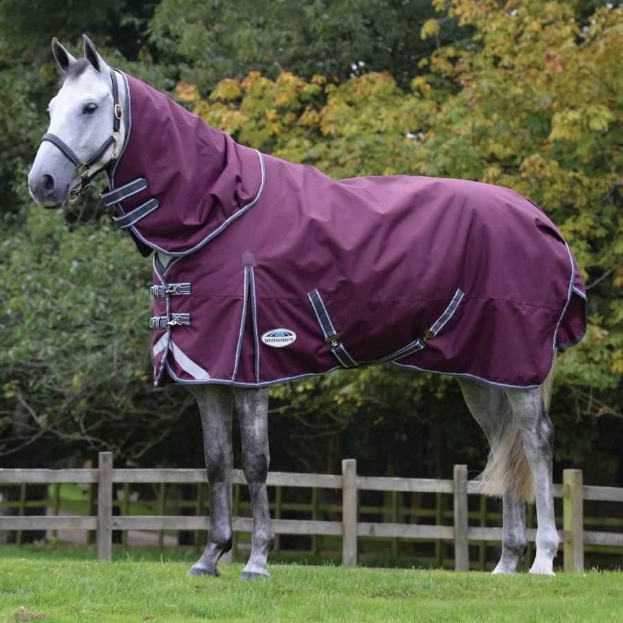 Weatherbeeta Comfitec Plus Dynamic II Detach a Neck Medium - Country Ways